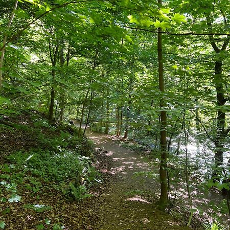 Pension Villa Pangea Бад Лаутерберг Екстериор снимка